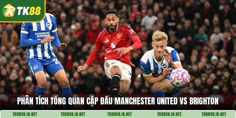 Phân tích tổng quan cặp đấu Manchester United vs Brighton